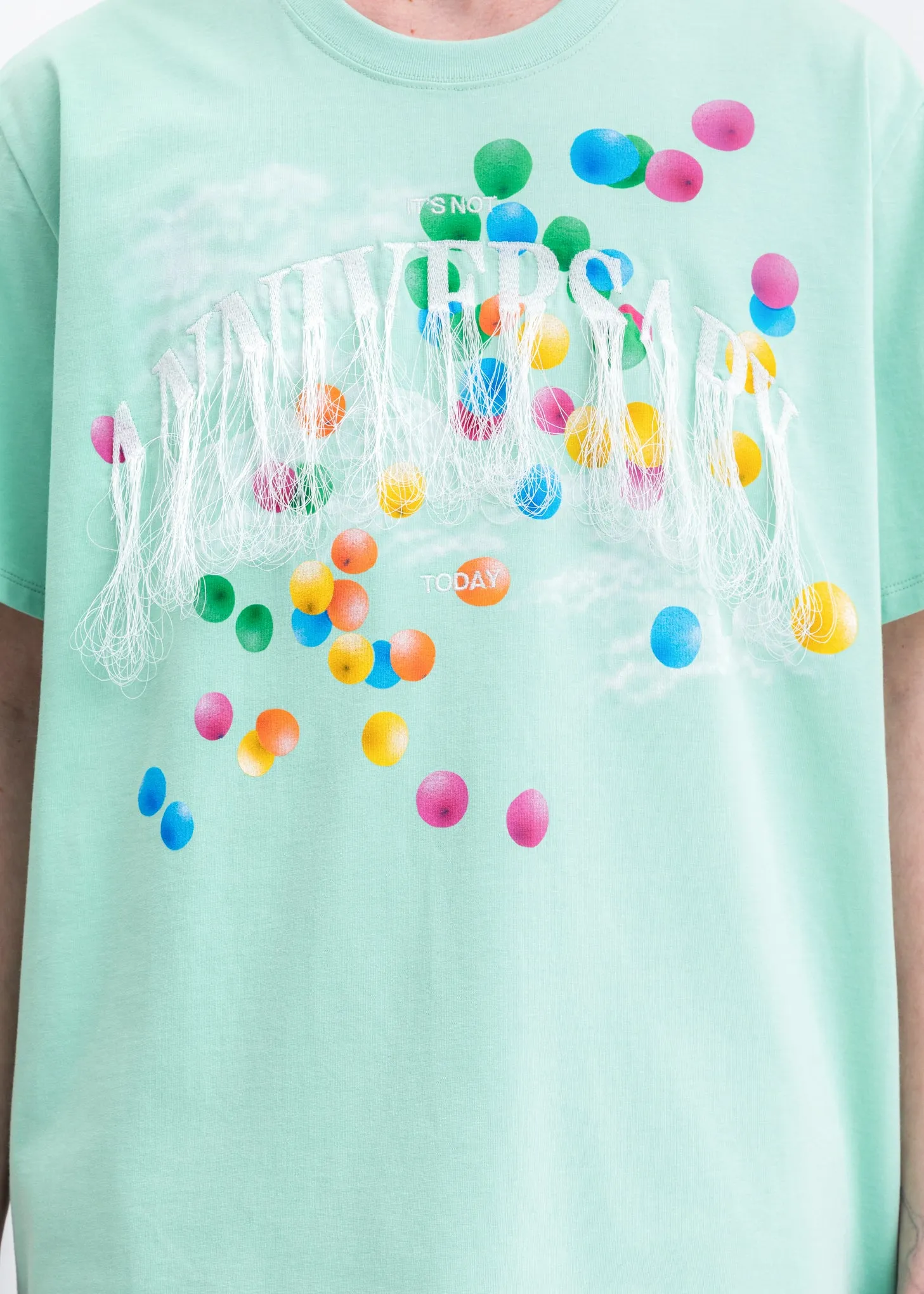 Mint Not Anniversary Embroidery T-Shirt