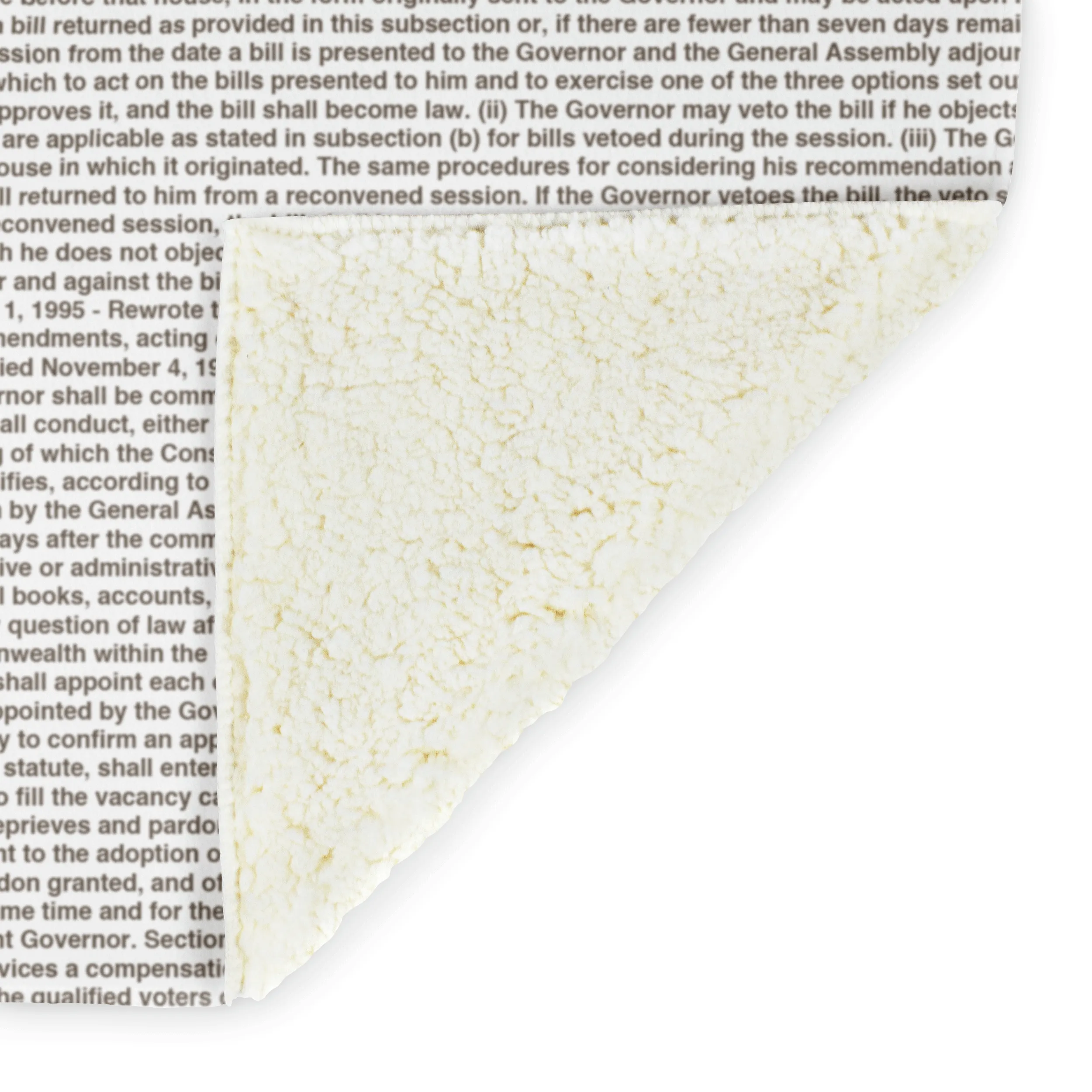 Virginia's Constitution