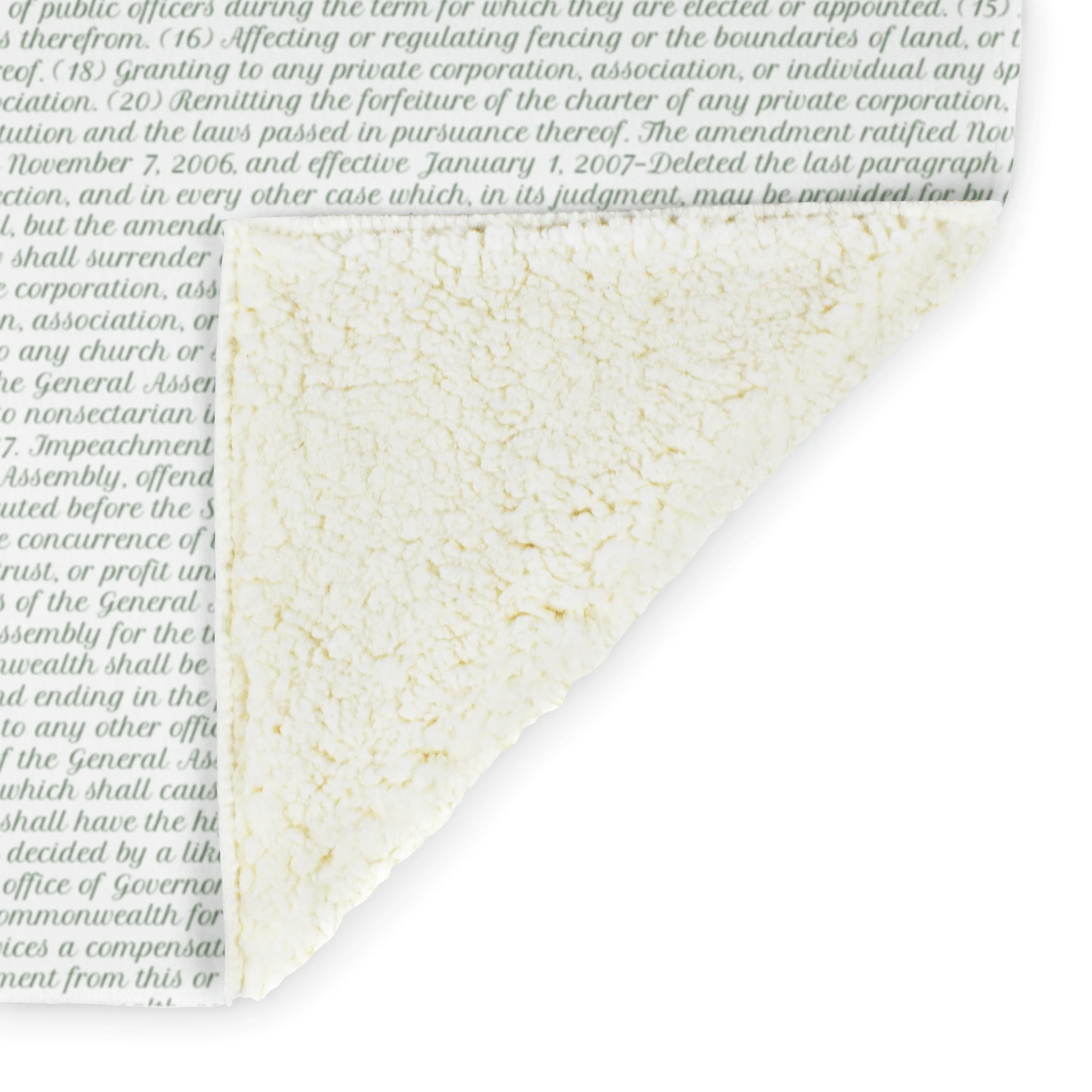 Virginia's Constitution