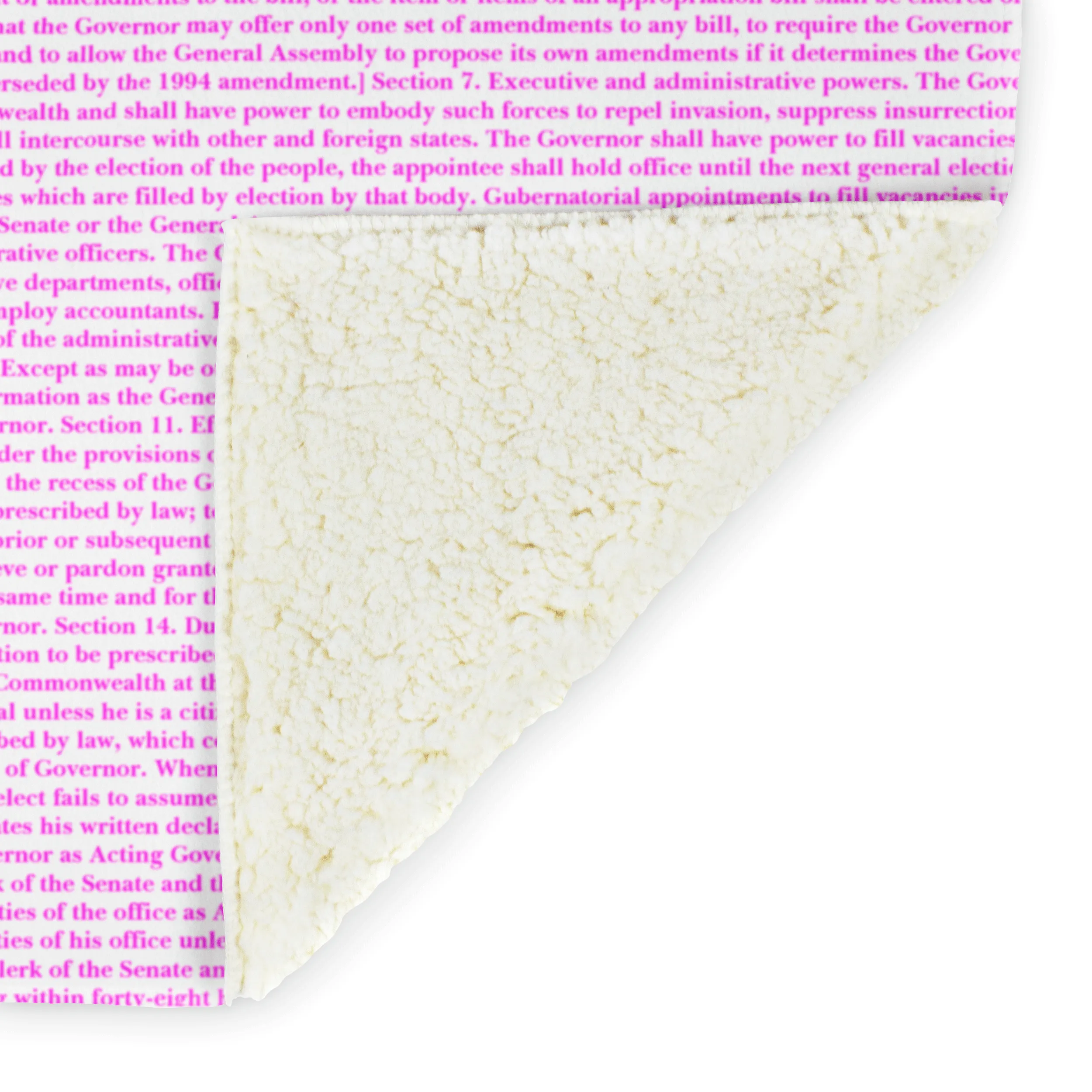 Virginia's Constitution