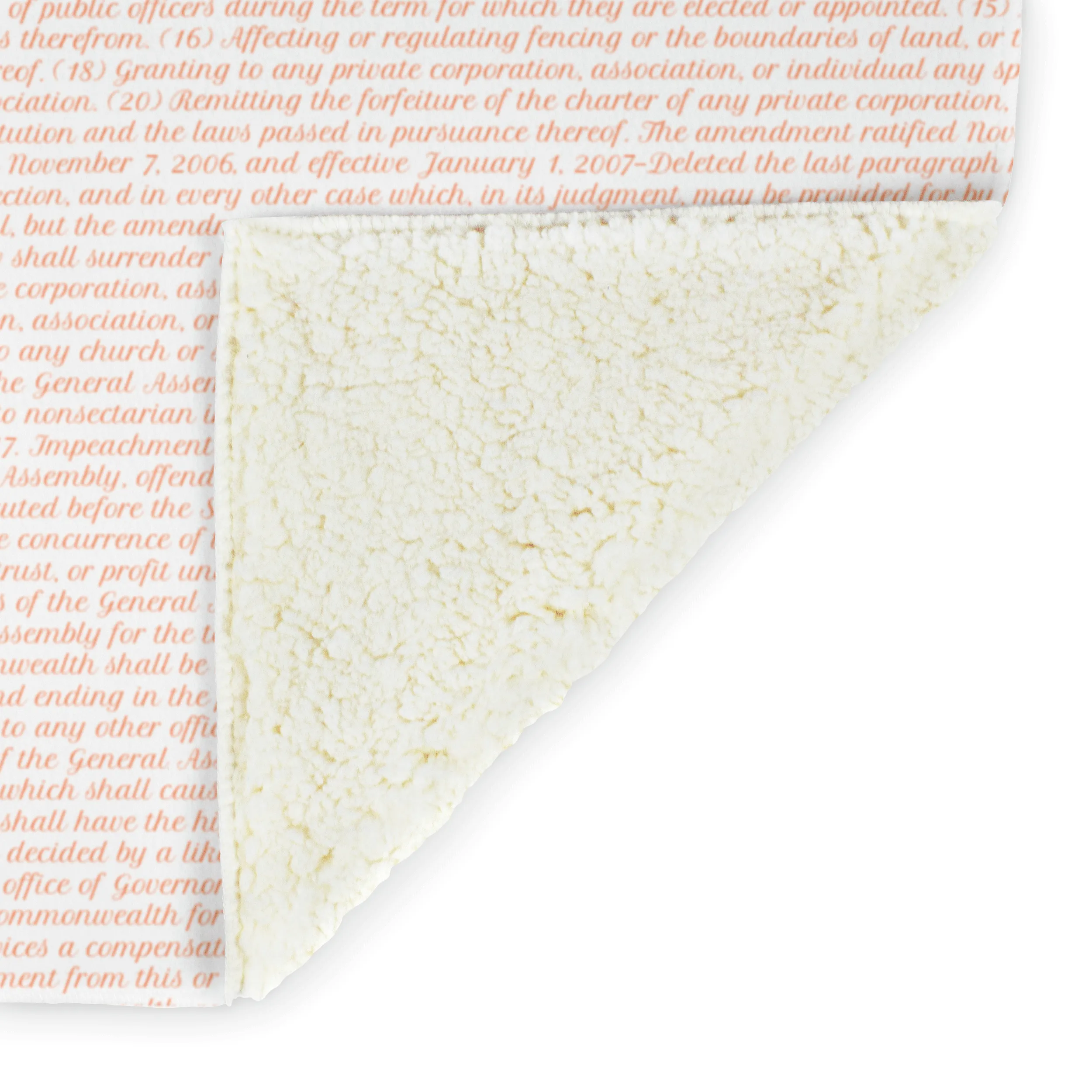Virginia's Constitution