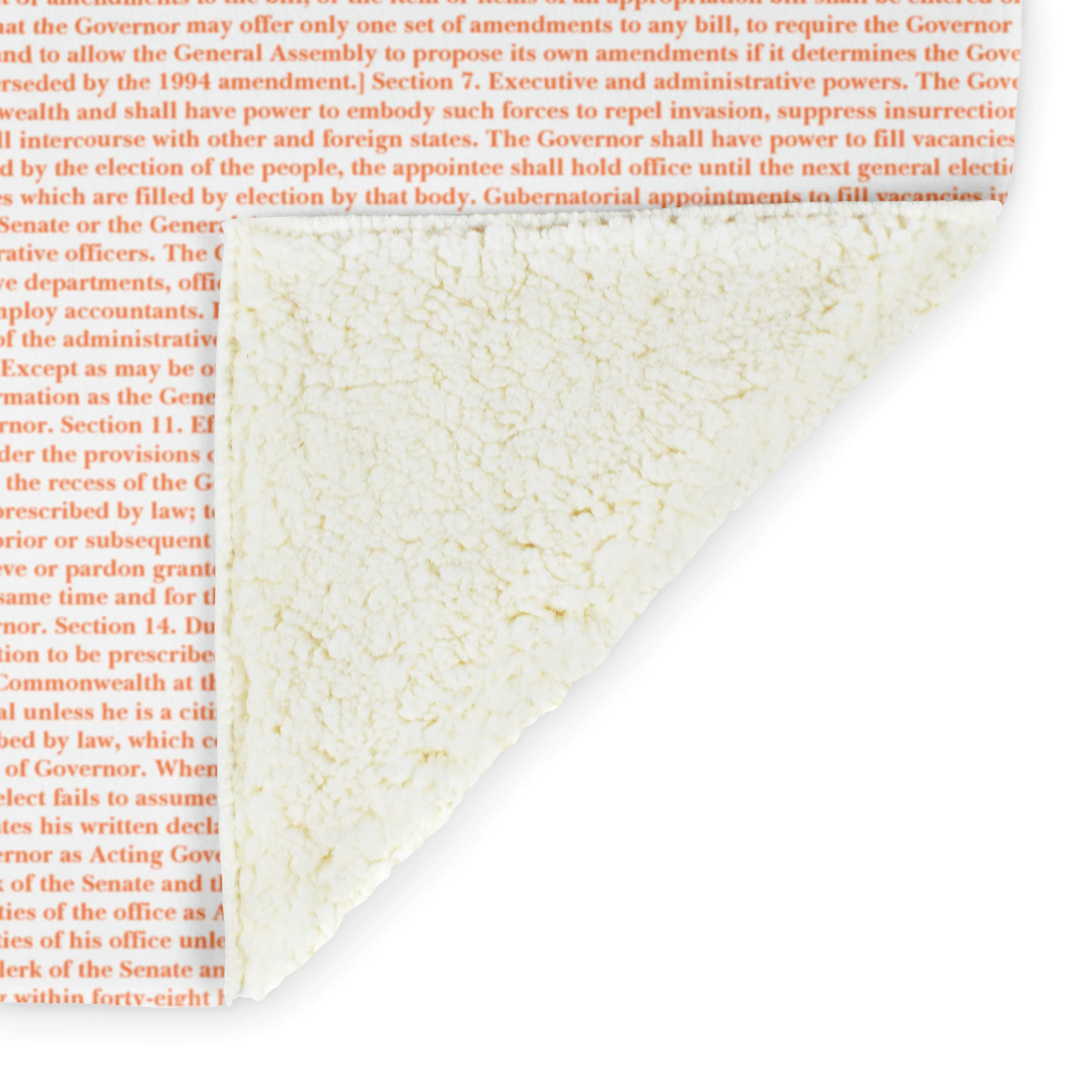 Virginia's Constitution