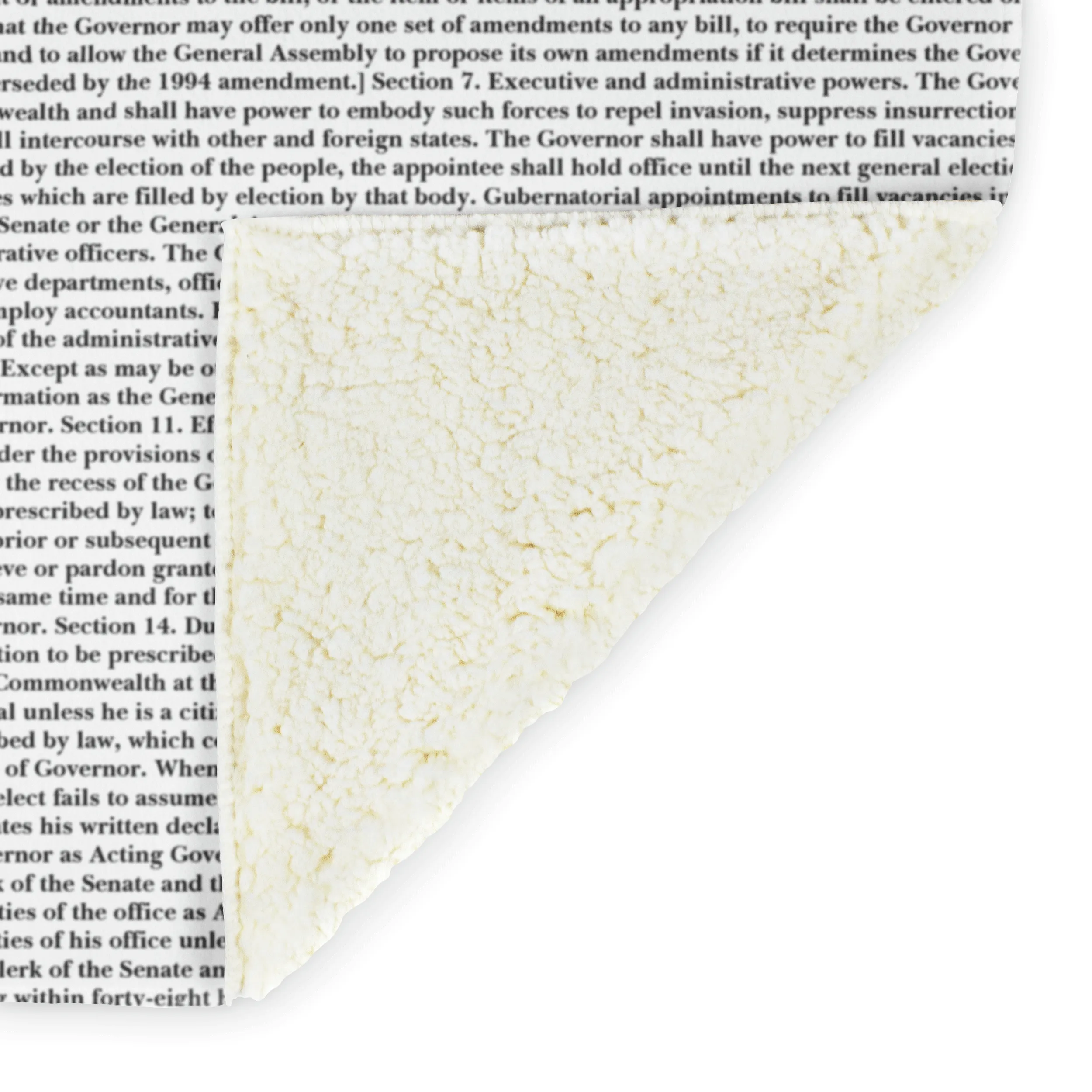 Virginia's Constitution
