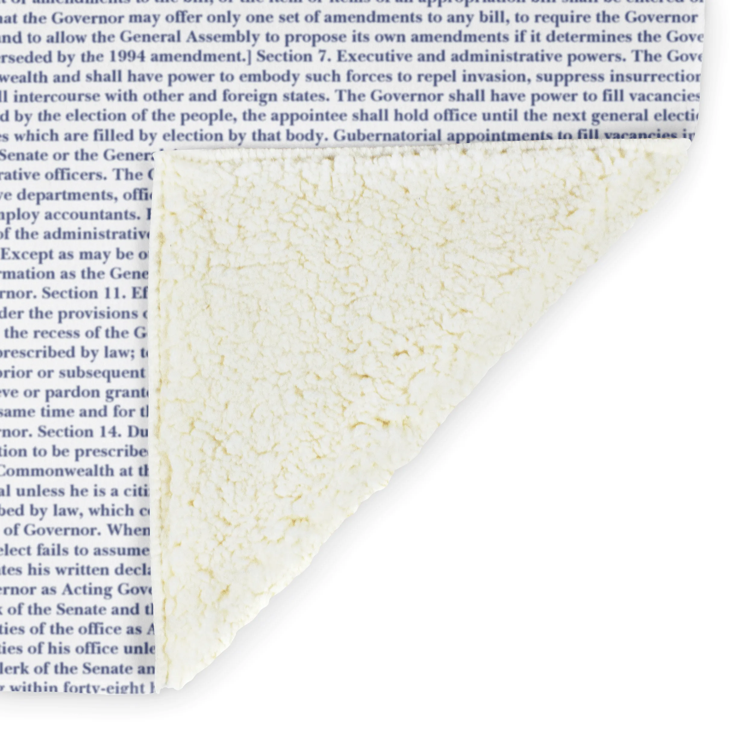 Virginia's Constitution