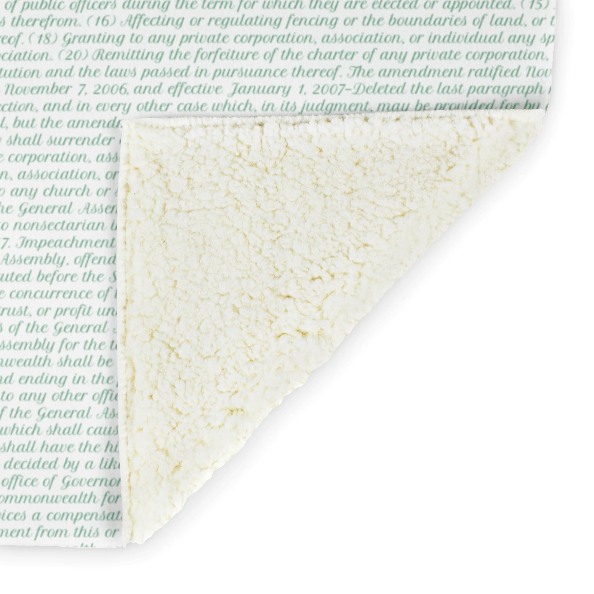 Virginia's Constitution
