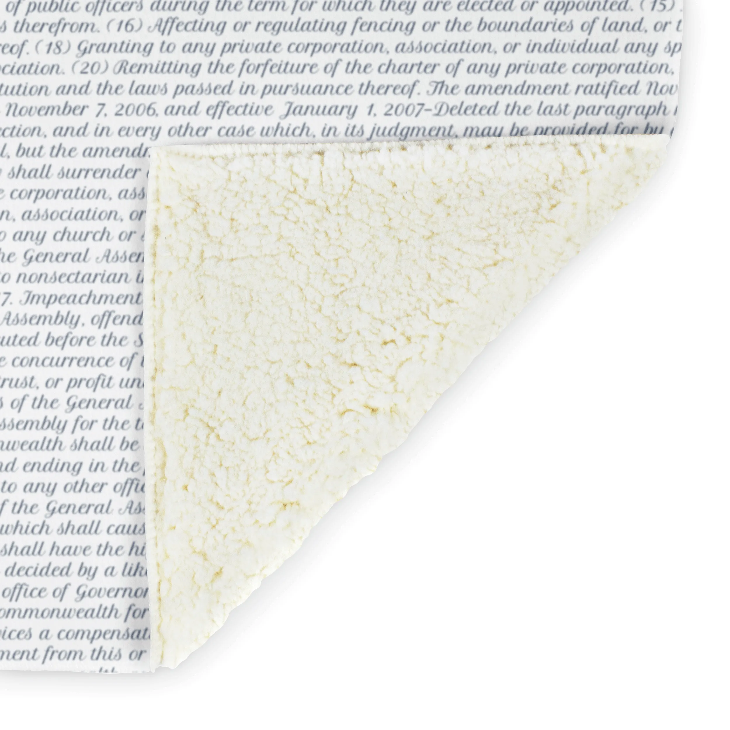 Virginia's Constitution