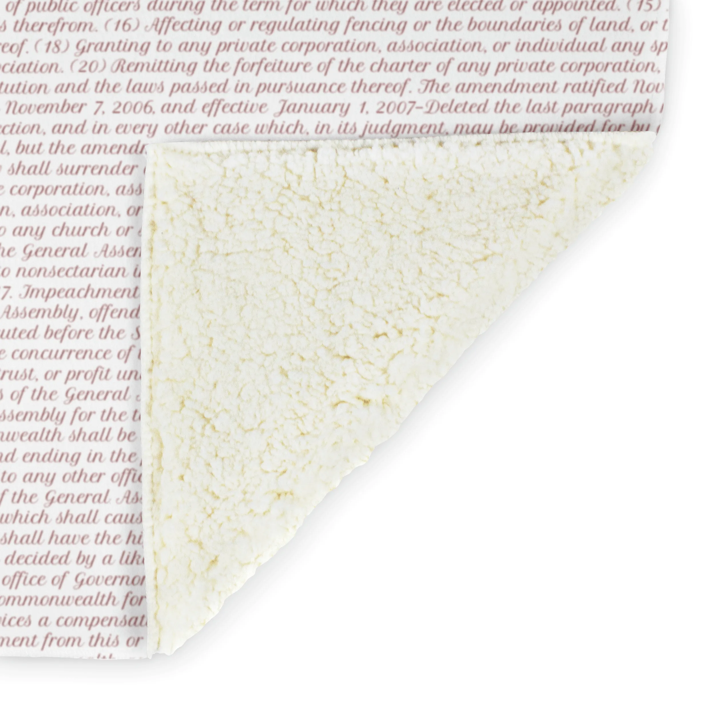 Virginia's Constitution