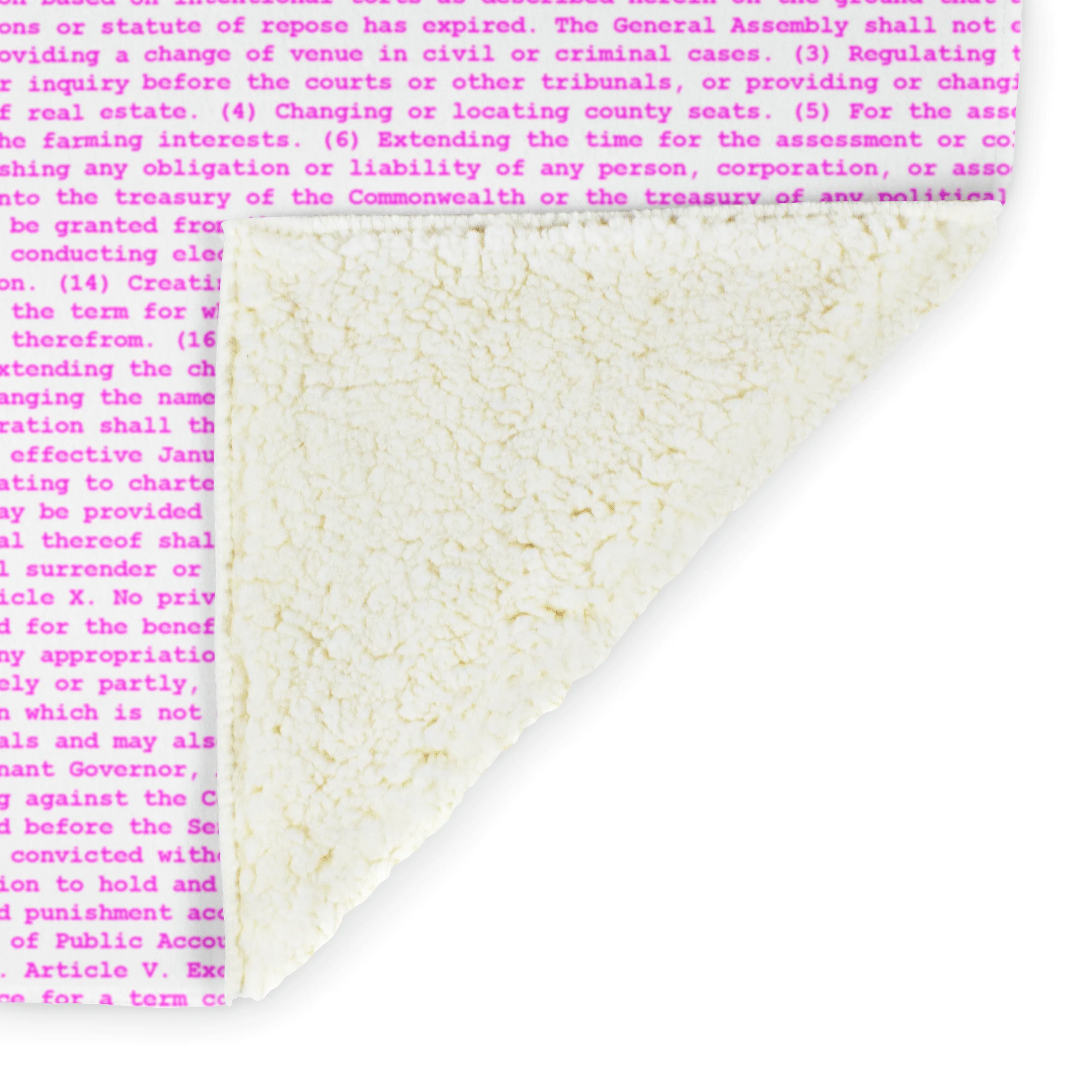 Virginia's Constitution