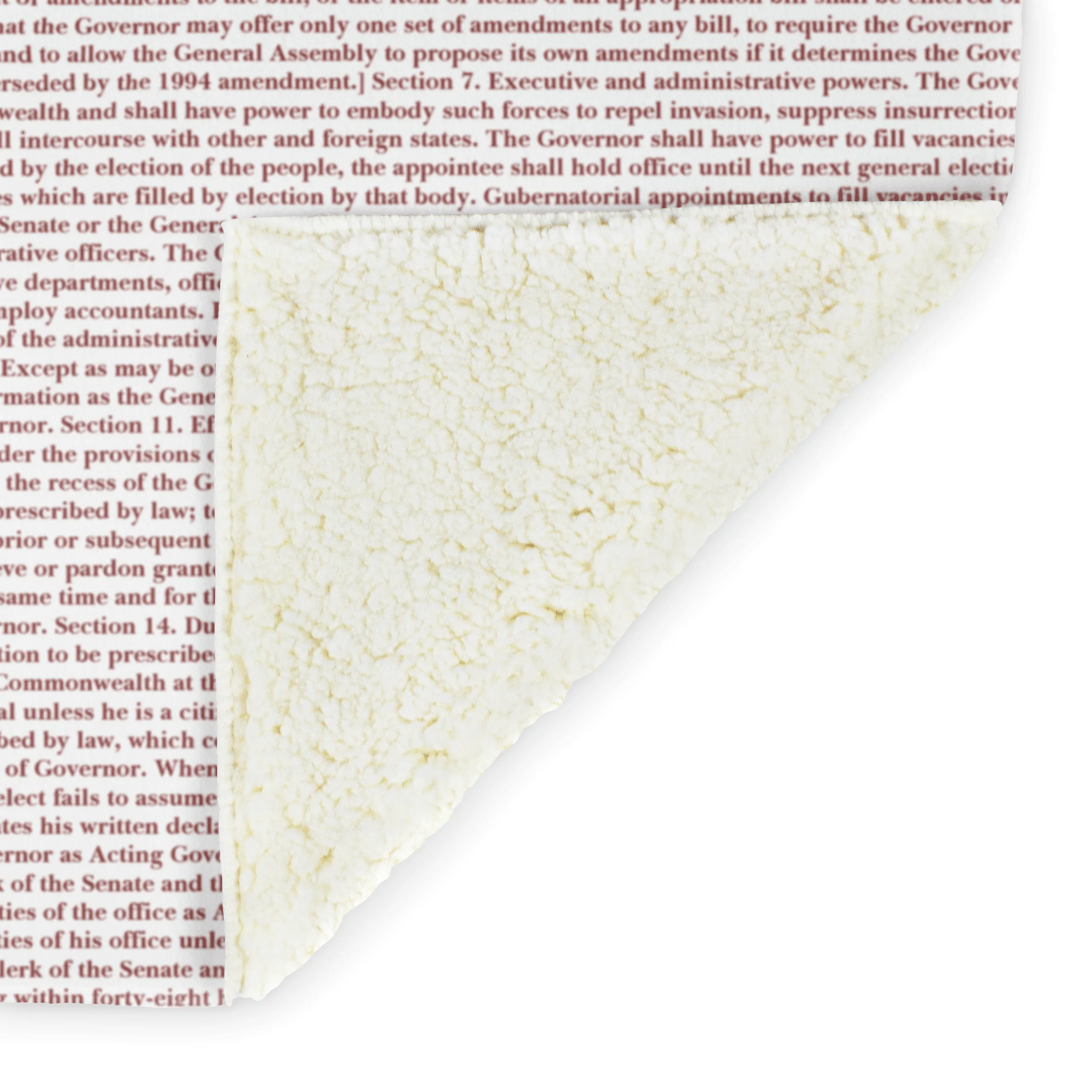Virginia's Constitution