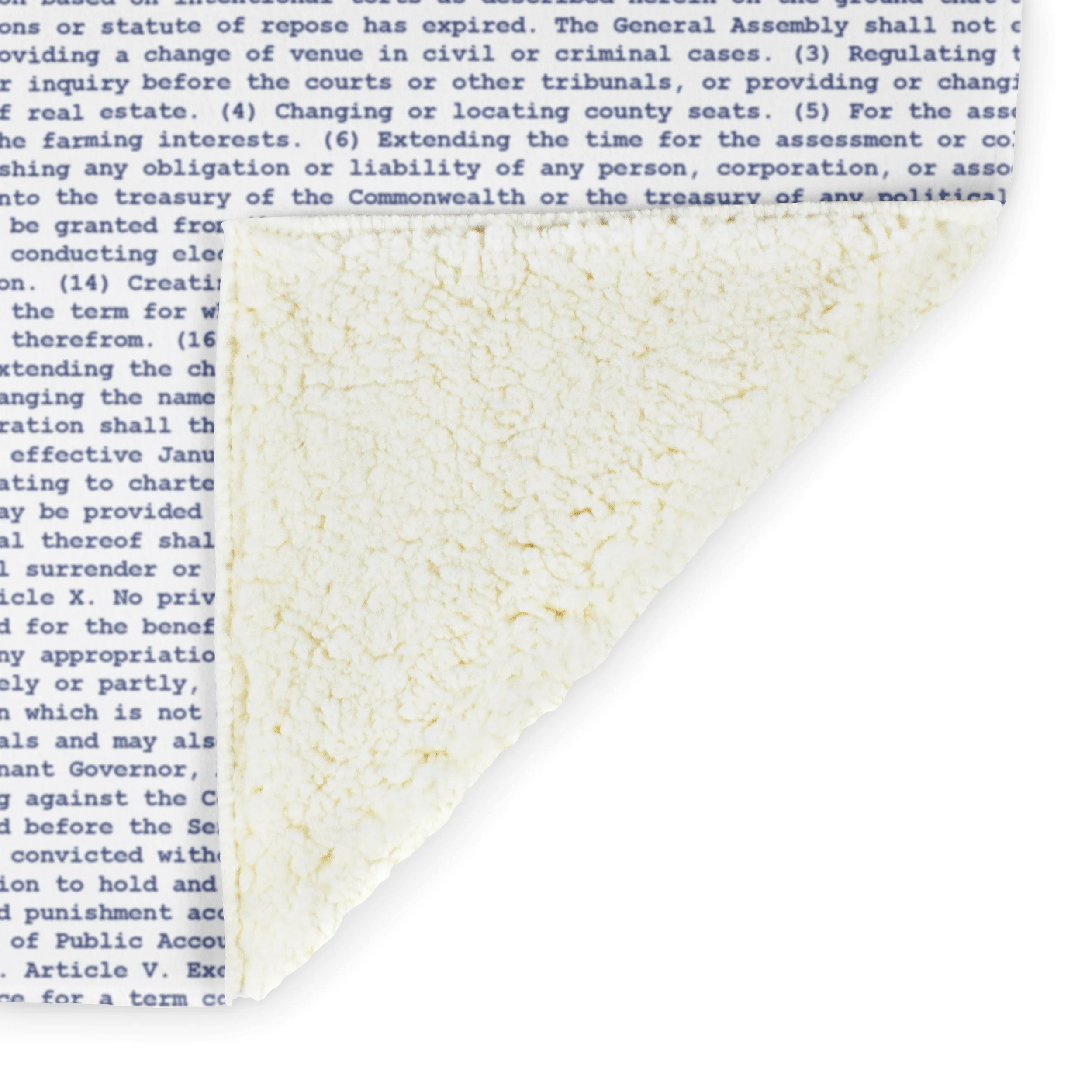 Virginia's Constitution