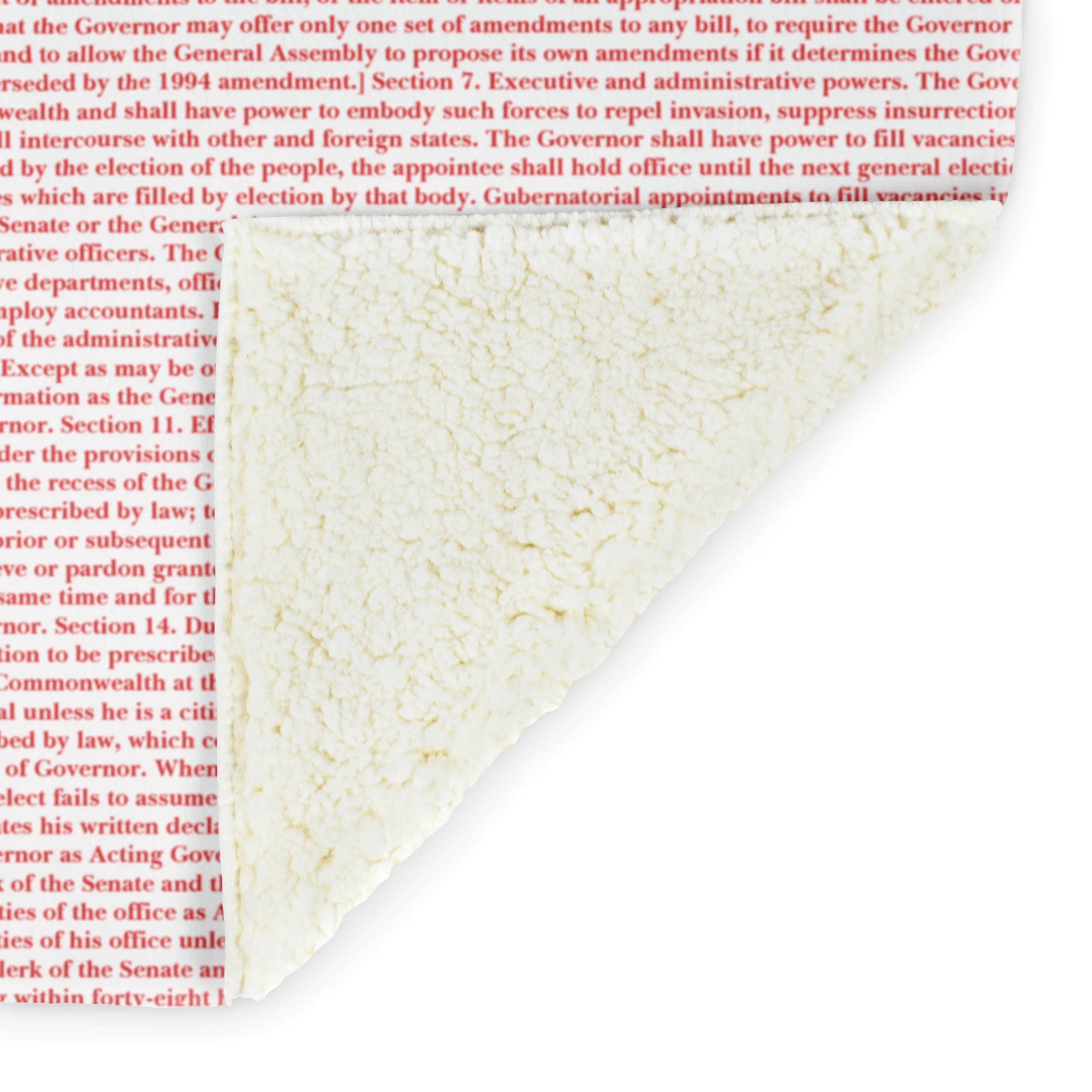 Virginia's Constitution