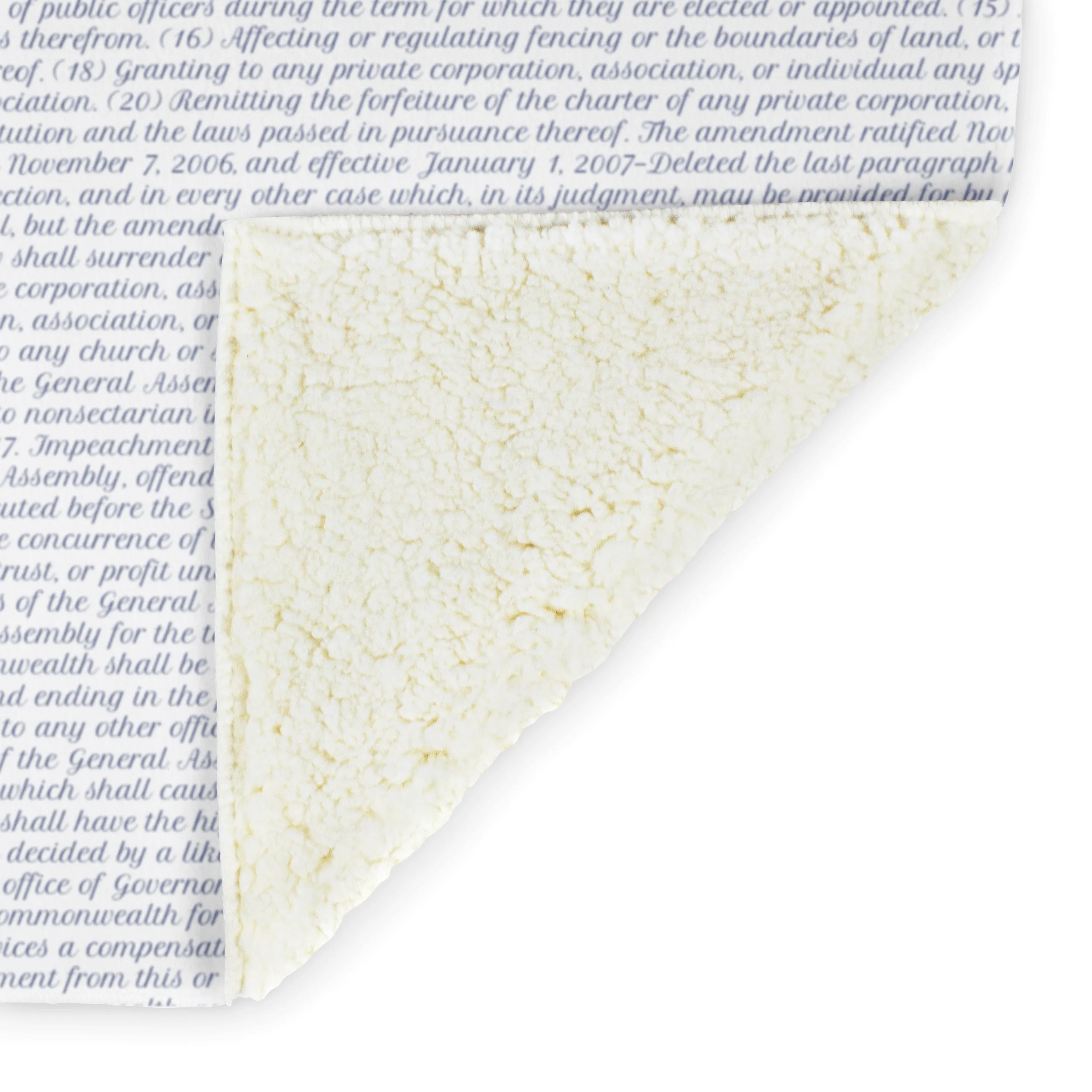 Virginia's Constitution