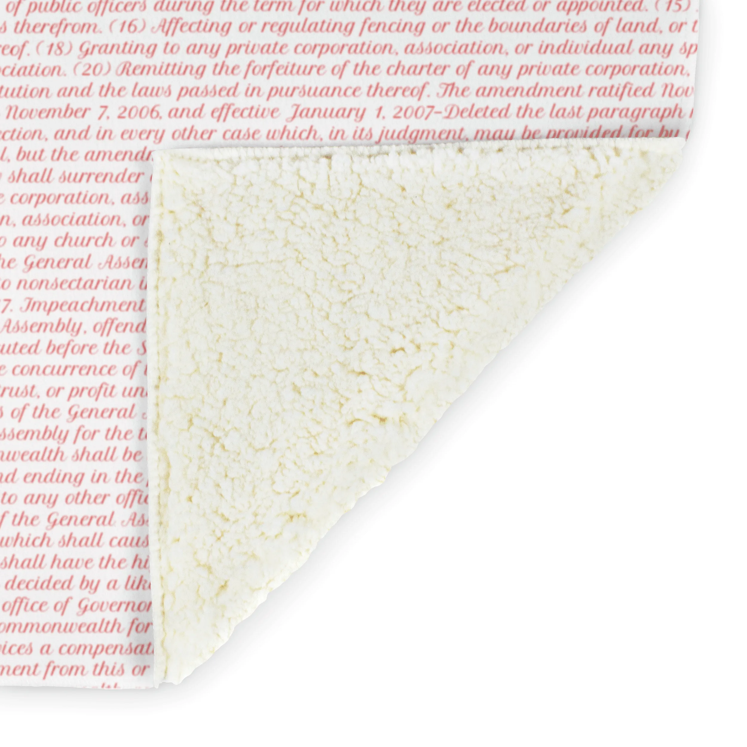 Virginia's Constitution