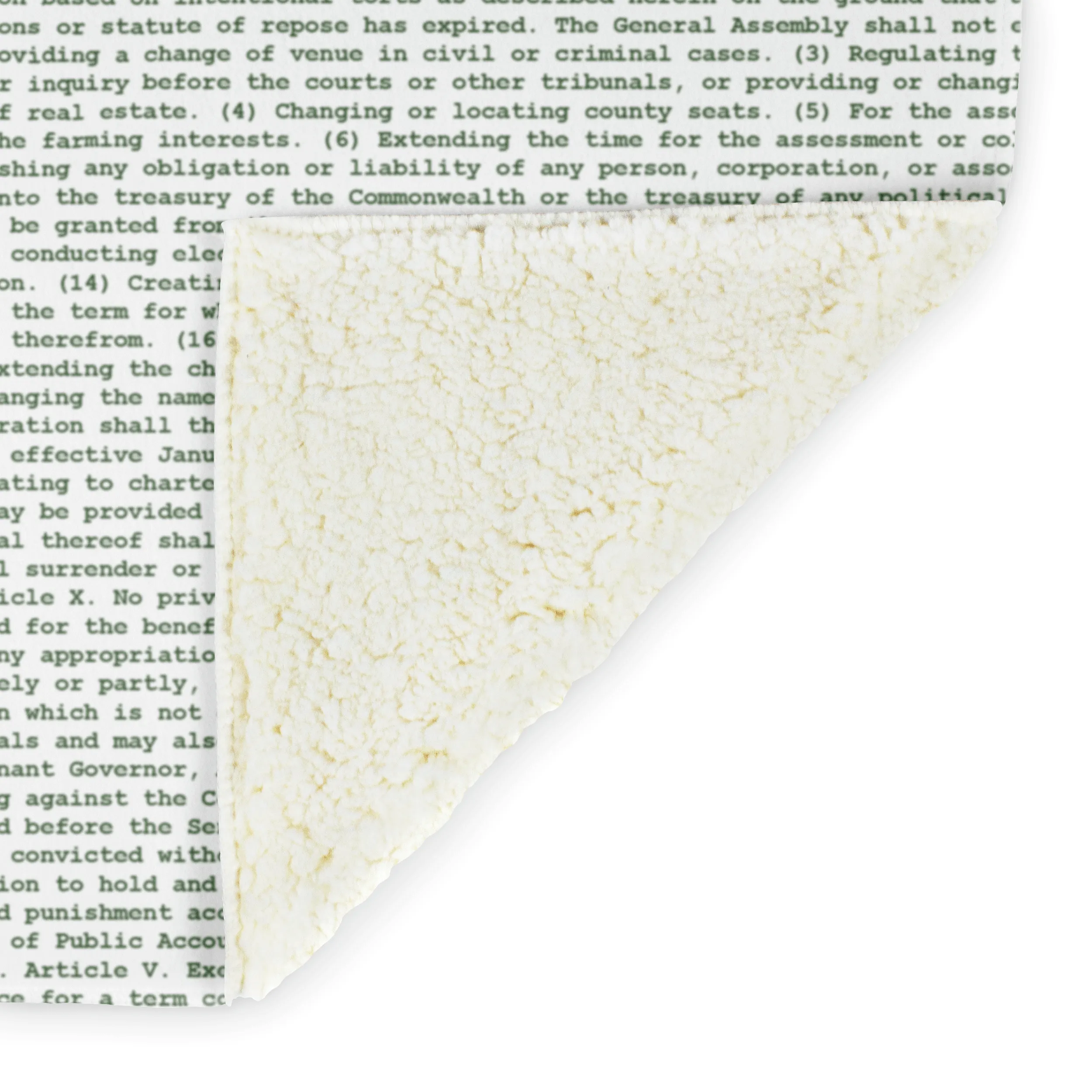 Virginia's Constitution