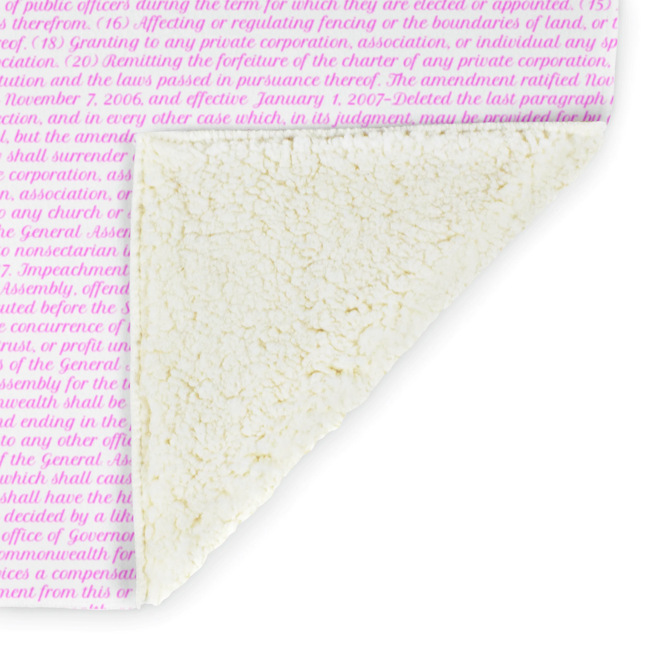 Virginia's Constitution