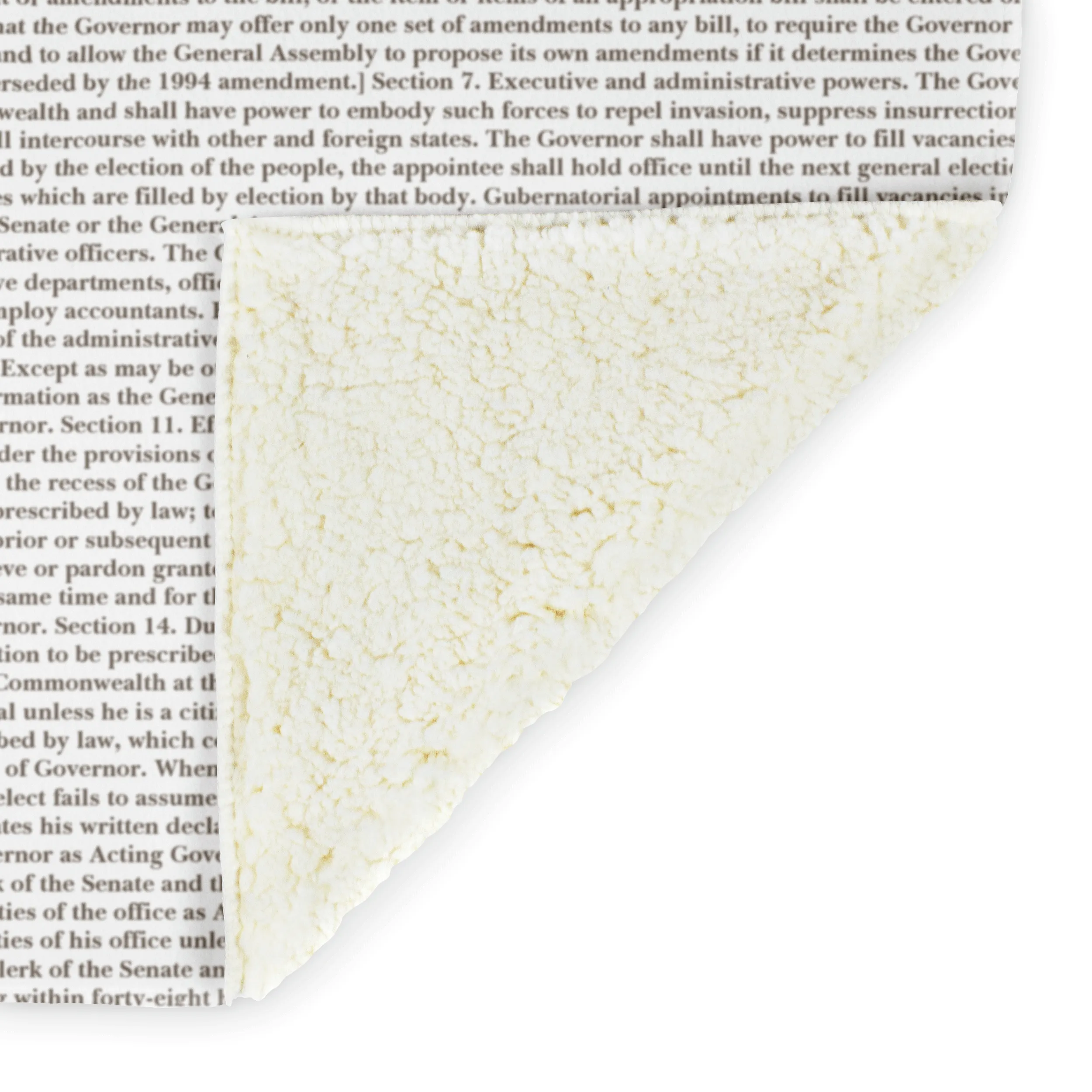 Virginia's Constitution