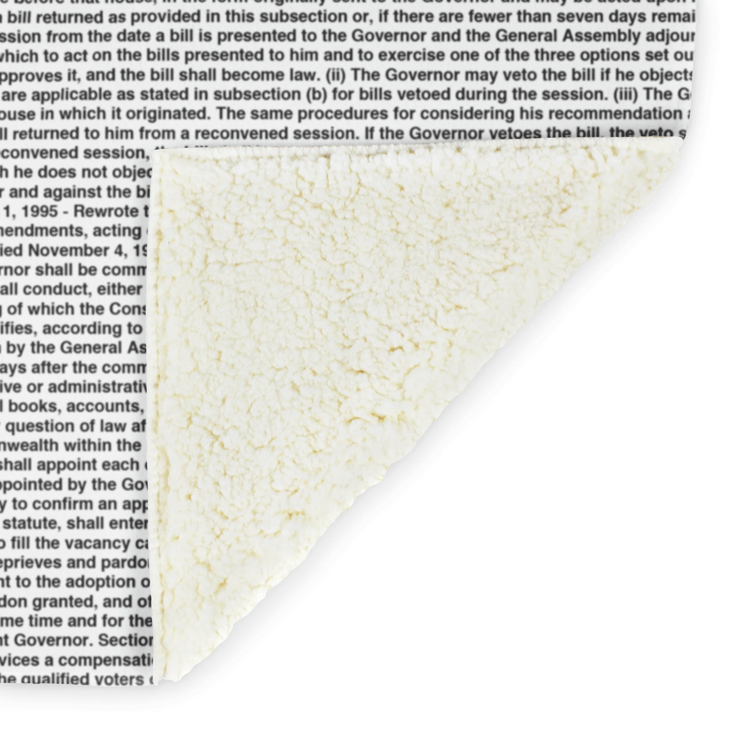 Virginia's Constitution