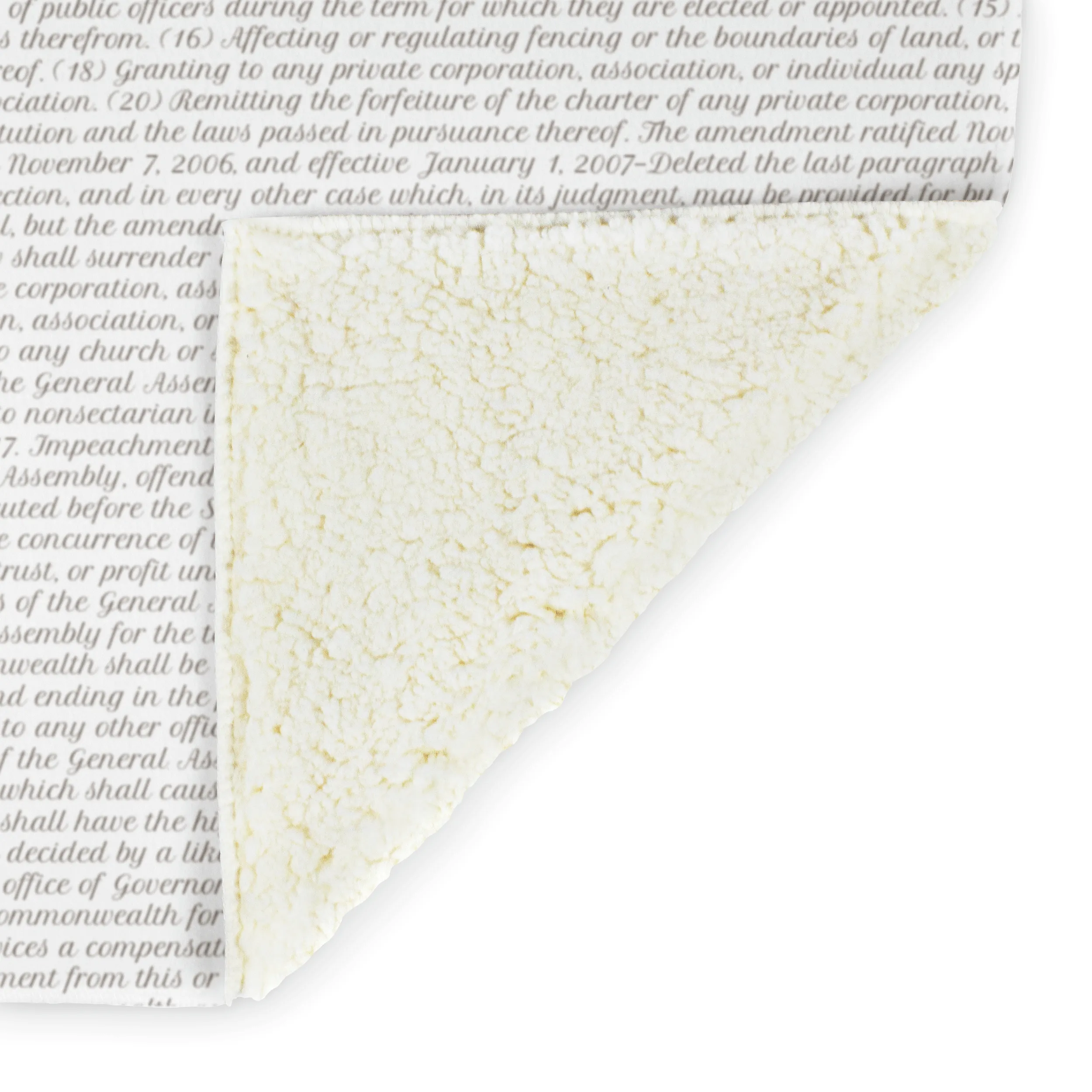 Virginia's Constitution