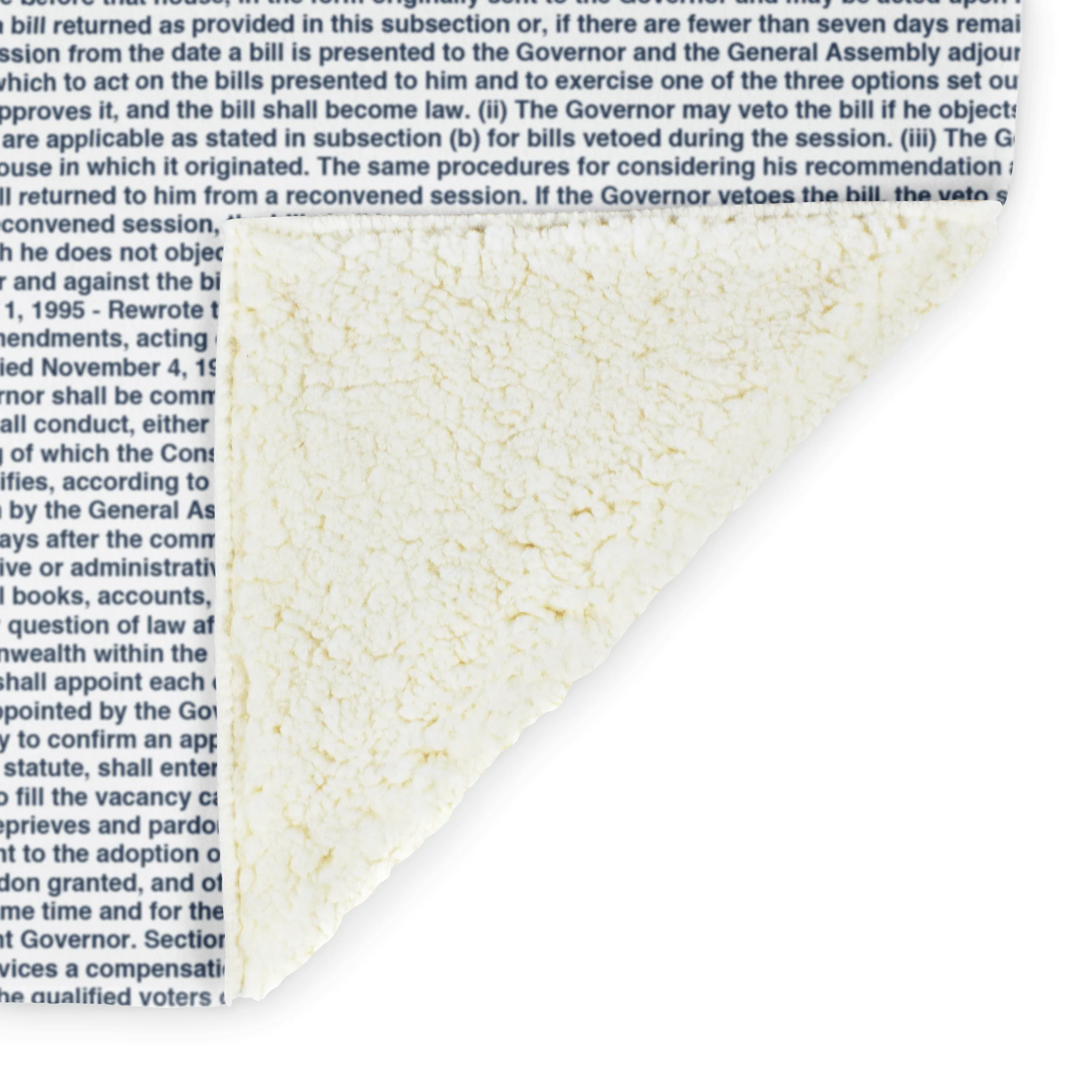 Virginia's Constitution