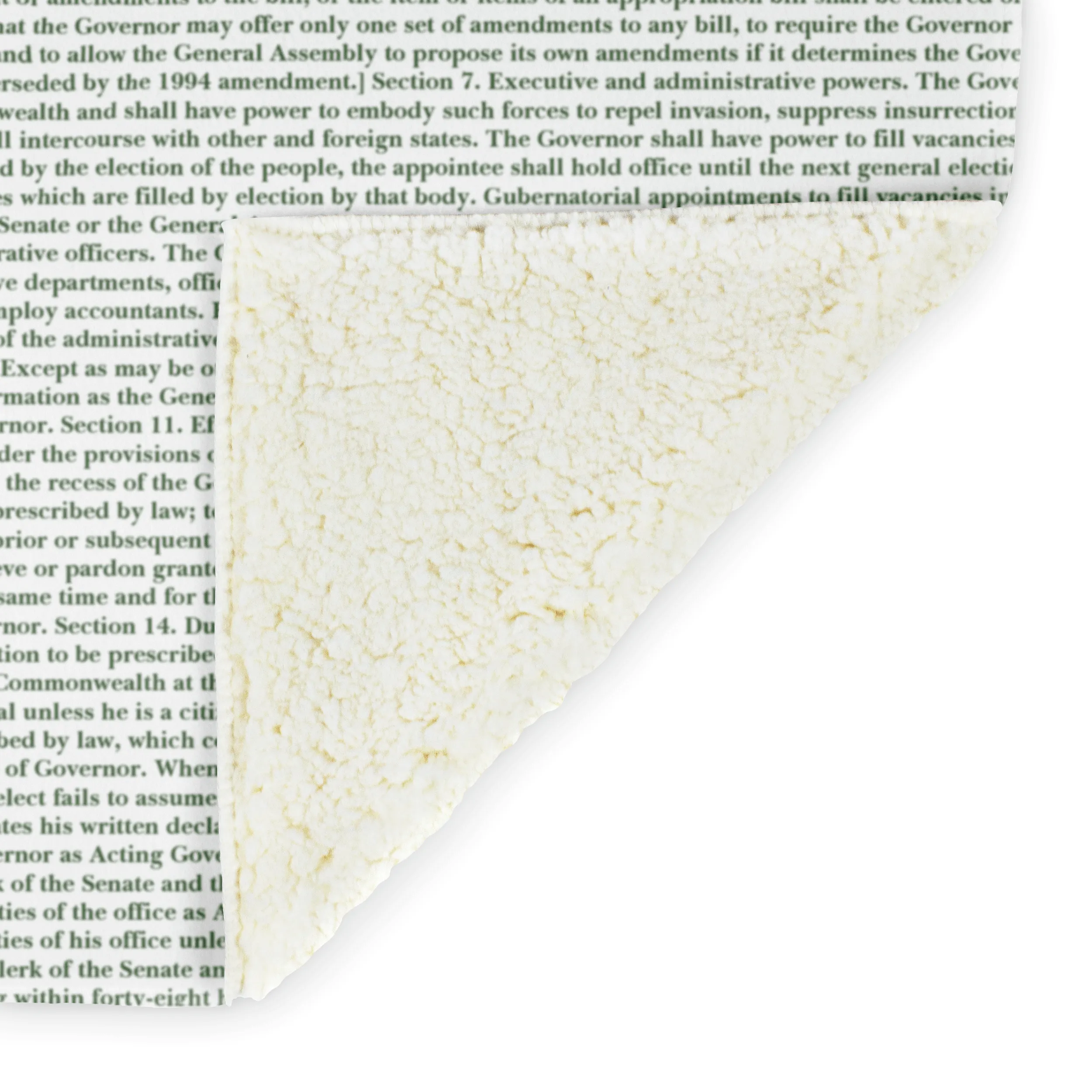 Virginia's Constitution
