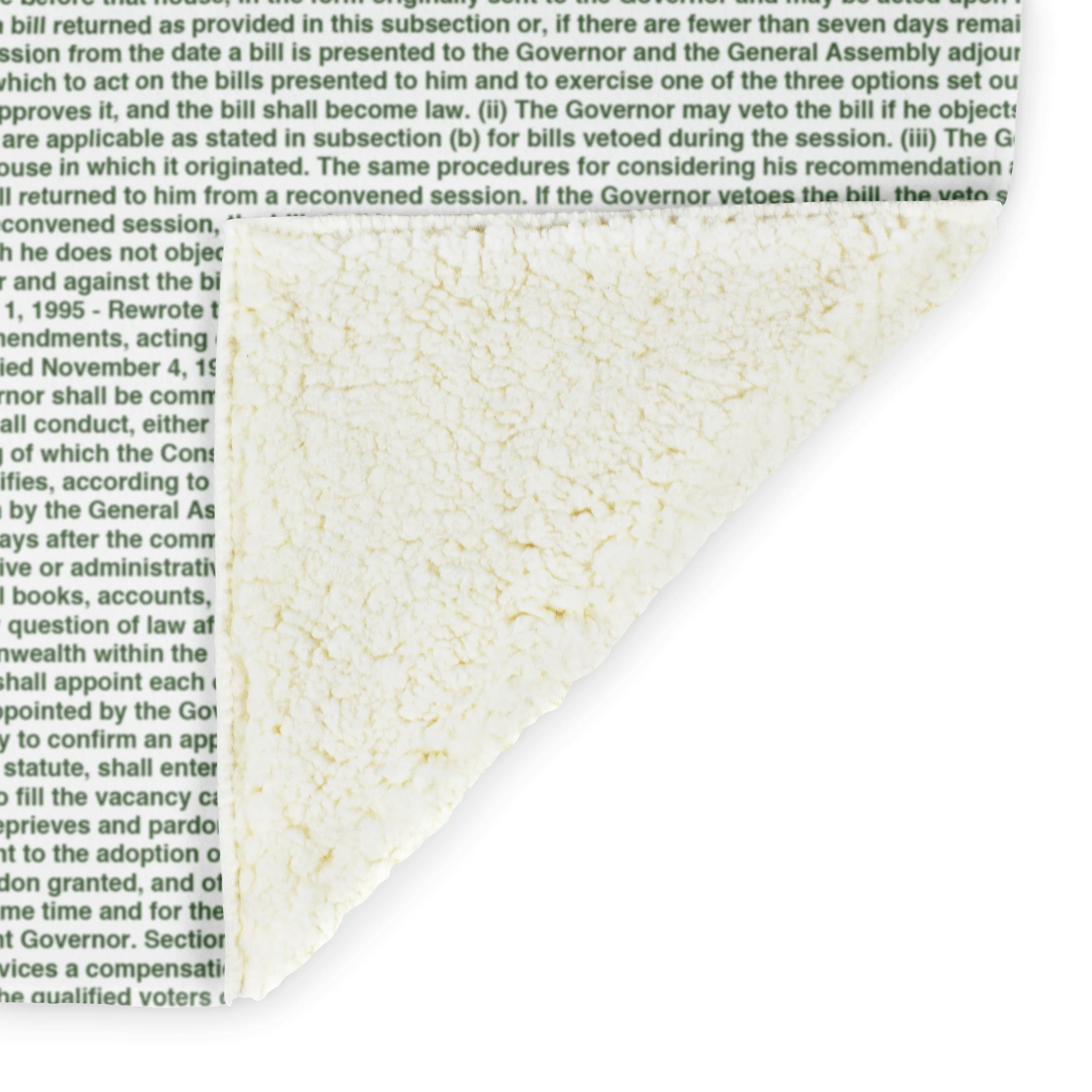 Virginia's Constitution